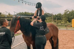 Thị trường - Tiêu dùng - Nhiều người chi cả trăm triệu đồng mua ngựa để tập làm “quý tộc”