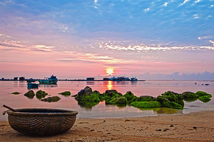 &nbsp;Ở Việt Nam, cua mặt trăng thường xuất hiện theo mùa gió nam tại vùng biển đảo Phú Quý (Bình Thuận)&nbsp;
