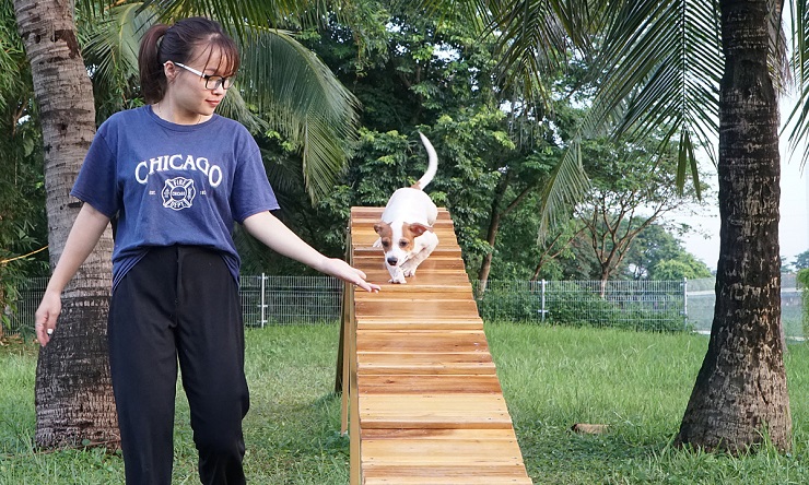 Công viên mở cửa miễn phí cho cộng đồng