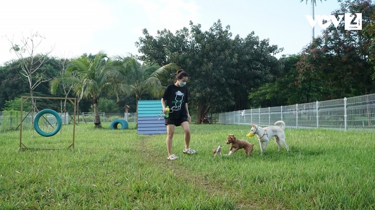 Nhiều người dân thích thú đưa thú cưng tới&nbsp;dạo chơi dịp cuối tuần