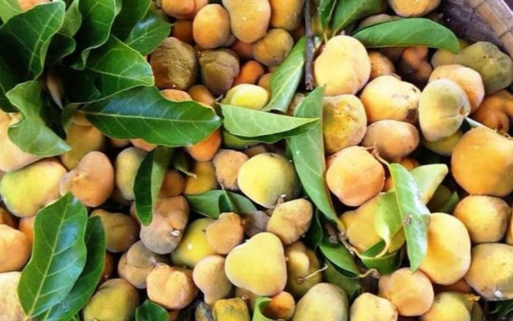 Mấy năm gần đây, quả chay &#34;gây sốt&#34; ở trên chợ mạng, giá từ 40.000-60.000 đồng/kg
