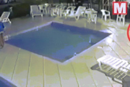 Phi thường - kỳ quặc - Bé trai 3 tuổi chới với dưới bể bơi, phút tuyệt vọng được "người hùng" giải cứu kịp thời