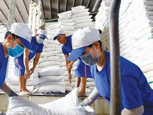 Vì sao gạo Việt ''mất ngôi'' giá cao nhất thế giới?