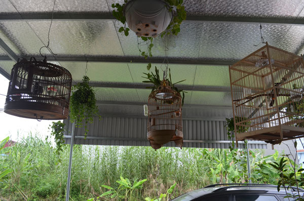 Hồ Quang 8 rất yêu động vật. Chó, chim, và
những con vật mà anh rất yêu thích.