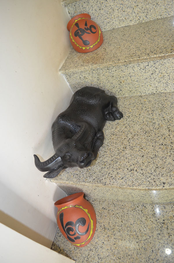 Cầu thang lối lên tầng 2, ca sĩ Hồ Quang 8
luôn để những đồ trang trí bằng gốm. Vì tuổi trâu nên mấy món đồ
trang trí trong nhà đều có hình ảnh con trâu.ng rau sạch.