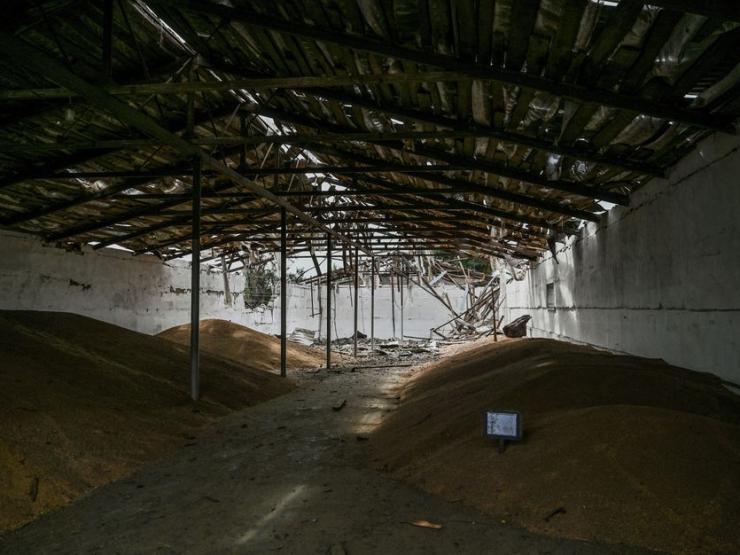 Thế giới - Chính quyền Zaporizhzhia thân Nga tiết lộ về sản lượng xuất khẩu ngũ cốc