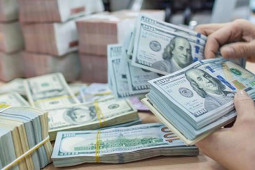 Kinh doanh - Tỷ giá USD hôm nay 21/8: Liên tục tăng, lên mức cao nhất 5 tuần qua