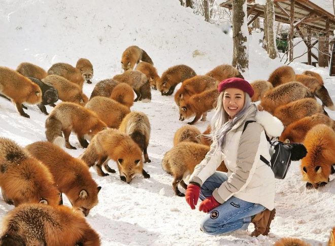 Thích thú với ngôi làng có hàng trăm con cáo béo ở Nhật Bản - 1