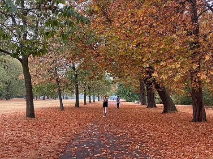 Thế giới - "Mùa thu giả" xuất hiện ở Anh, nguy hiểm ra sao?
