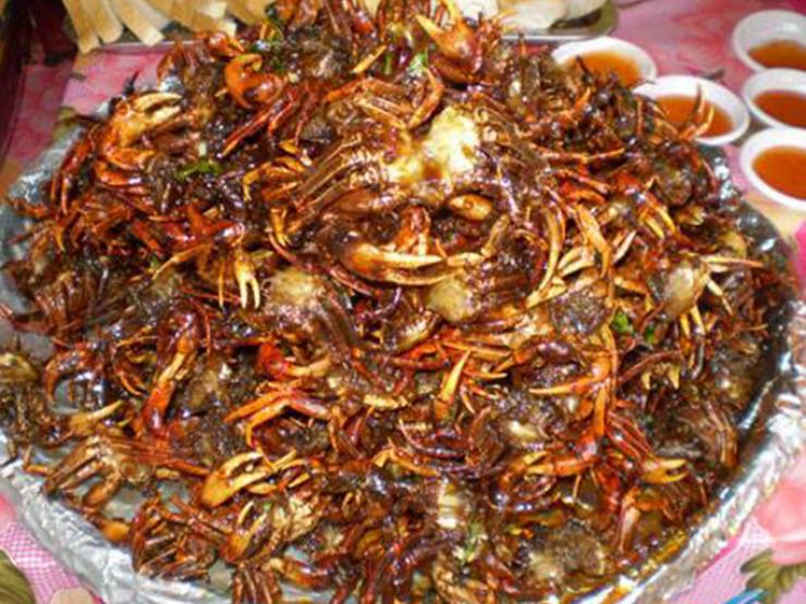 Thị trường - Tiêu dùng - Loại cua ở Việt Nam có tên lạ, ngon hơn cua đồng, ban đêm đi bắt về bán "hốt bạc"