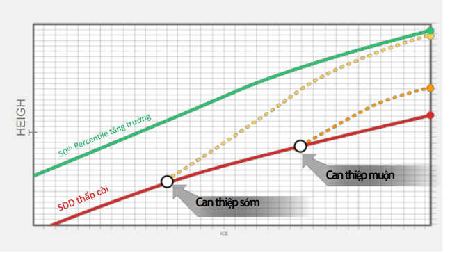 Nghiên cứu của Rosello-Diez năm 2015 cho thấy, trẻ thấp còi được can thiệp sớm tăng trưởng tốt hơn