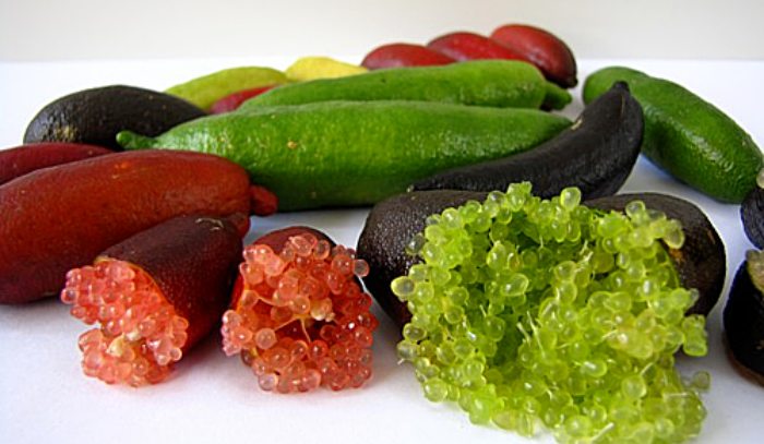 4 loại quả kỳ dị nhất thế giới, 1 quả ở Việt Nam mọc đầy - 4