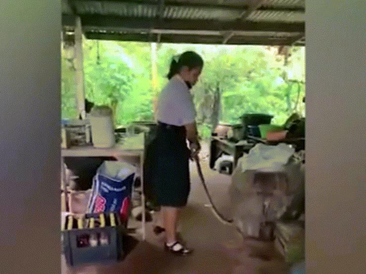 Phi thường - kỳ quặc - Kinh hoàng khoảnh khắc nữ sinh dùng tay không bắt rắn "khổng lồ"
