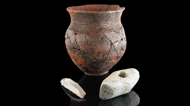 Một chiếc bình gốm Corded Ware - Ảnh: Văn phòng nhà nước về Bảo tồn di tích ở RPS / Yvonne Mühlei