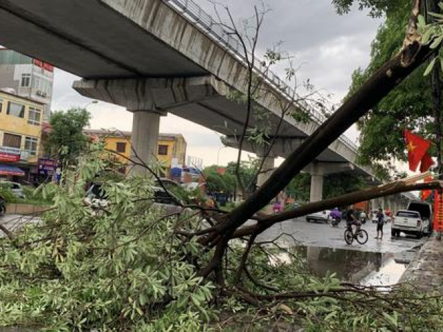 Tin tức trong ngày - CLIP: Mưa lớn kèm gió to "như kéo bay cả người được"