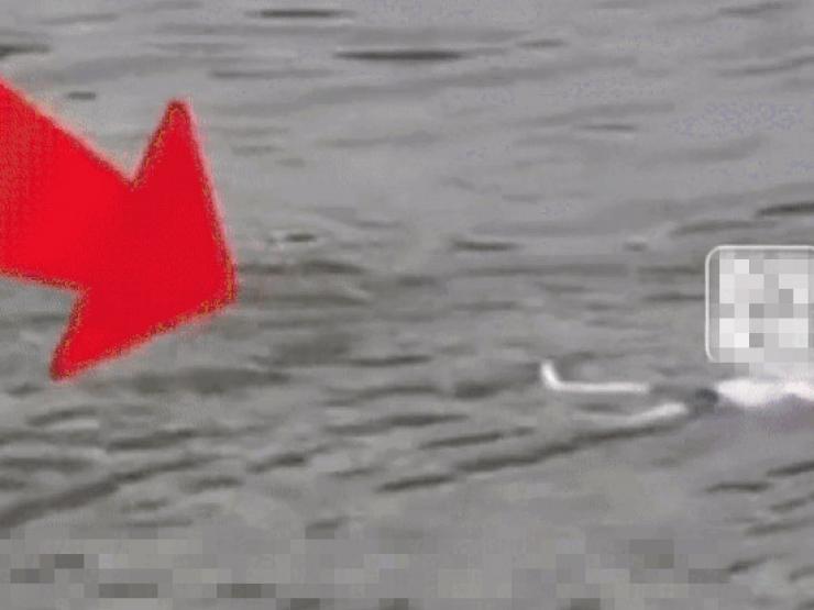 Bạn trẻ - Cuộc sống - Trượt chân ngã xuống sông, bé trai 9 tuổi tự cứu chính mình nhờ hành động thông minh