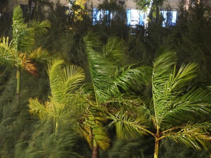 Tin tức trong ngày - Bão số 3 đang ở biên giới Việt - Trung, miền Bắc bước vào đợt cao điểm mưa lớn