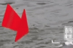 Phi thường - kỳ quặc - Trượt chân ngã xuống sông, bé trai 9 tuổi tự cứu chính mình nhờ hành động thông minh