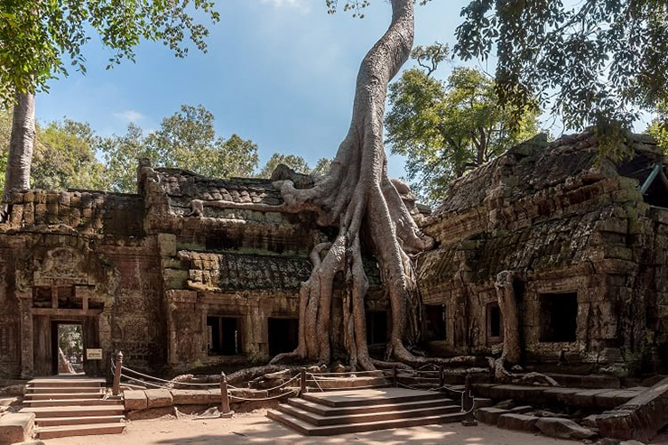 Ngôi đền bị cây cối nuốt chửng ở Campuchia, khung cảnh ngoạn mục đến khó tin - 1