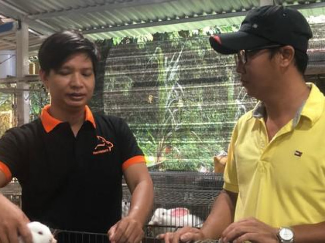 Bạn trẻ - Cuộc sống - Gác bằng đại học, nuôi thỏ sạch làm giàu