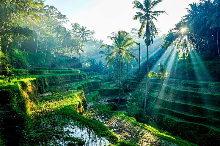15 địa điểm đẹp quên lối về ở Bali, thiên đường du lịch Đông Nam Á - 1