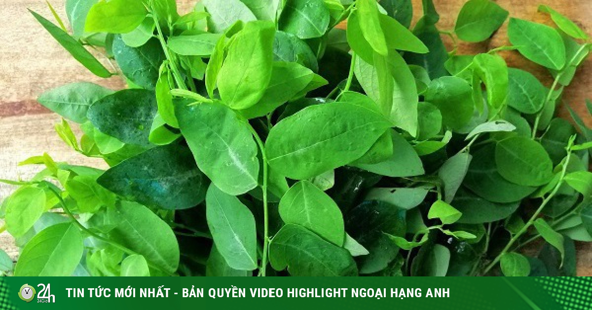 Rau ngót rất tốt nhưng nên ăn thế nào để tốt cho sức khoẻ?