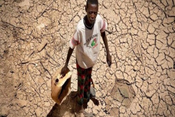 Kinh doanh - Hàng loạt nền kinh tế chao đảo vì hạn hán chưa từng có
