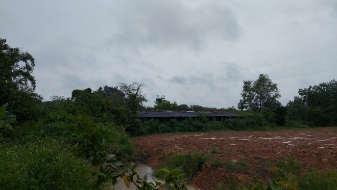 Hiện trường vụ việc