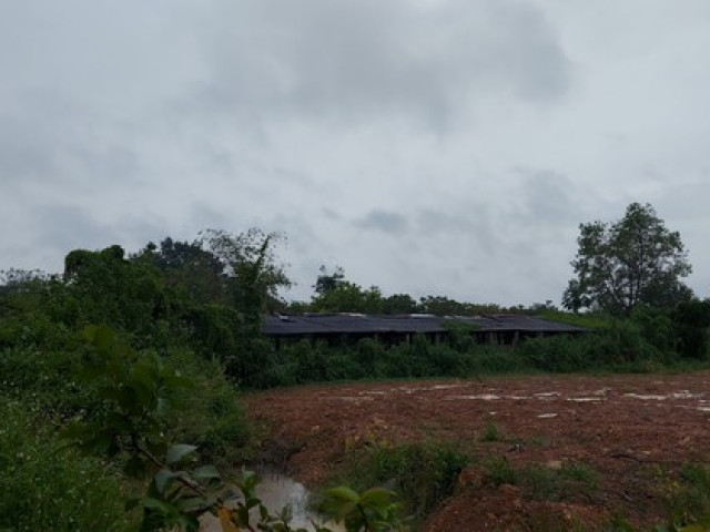 Pháp luật - Phát hiện một thi thể trong lò mổ heo