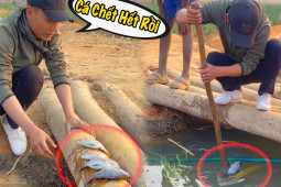 Xây cơ ngơi lớn hàng tỷ đồng, Quang Linh Vlogs bất ngờ gặp “biến”