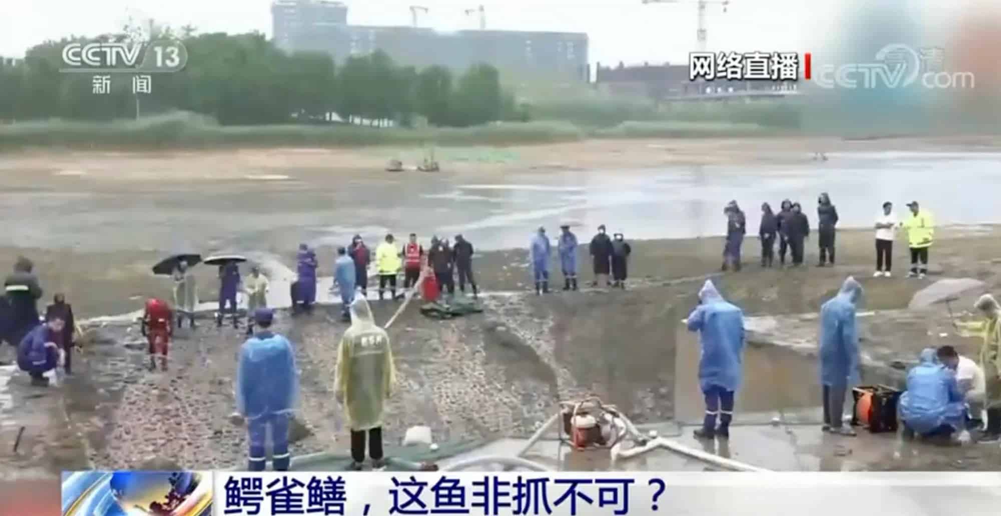 Chính quyền thành phố Nhữ Châu, miền trung Trung Quốc, cho rút cạn nước hồ để săn lùng "thủy quái". Ảnh: CCTV