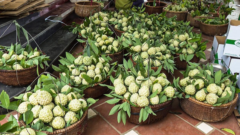 Na Chi Lăng tập trung ở các xã&nbsp;Chi Lăng, Mai Sao, Thượng Cường, Vạn Linh, Y Tịch, Hòa Bình, thị trấn Chi Lăng và thị trấn Đồng Mỏ.