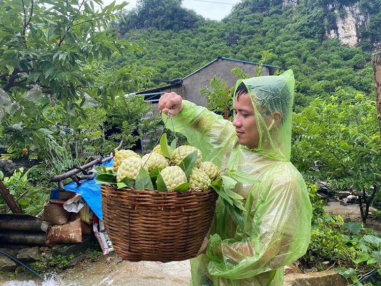 Người dân vui vẻ thu hoạch nông sản do mình làm ra.