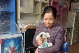 Pháp luật - Kẻ trộm chó Poodle đã mang trả cho khổ chủ sau 4 ngày bắt đi