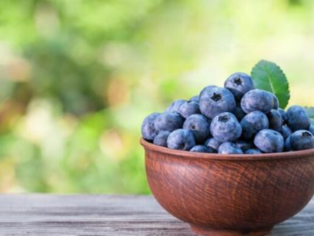 Sức khỏe đời sống - Biện pháp cực đơn giản nhưng hiệu quả cải thiện quầng thâm mắt từ bên trong