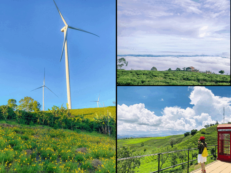 Check-in 10 địa điểm hot nhất Đà Lạt để có những thước ảnh đẹp như mơ