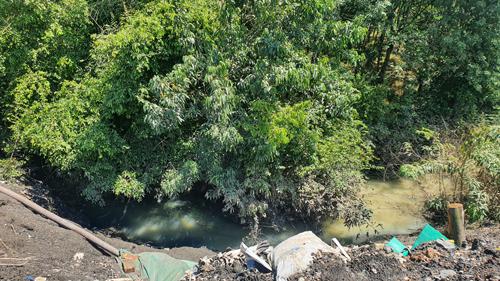 Con suối bị bao vây bởi chất thải do Công ty TNHH MTV Môi trường Trà Vinh chuyển tới