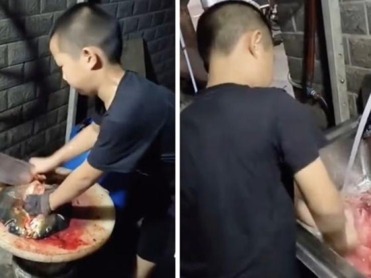 Bạn trẻ - Cuộc sống - Bé trai 8 tuổi gây choáng với kỹ năng mổ cá thuần thục như đầu bếp chuyên nghiệp