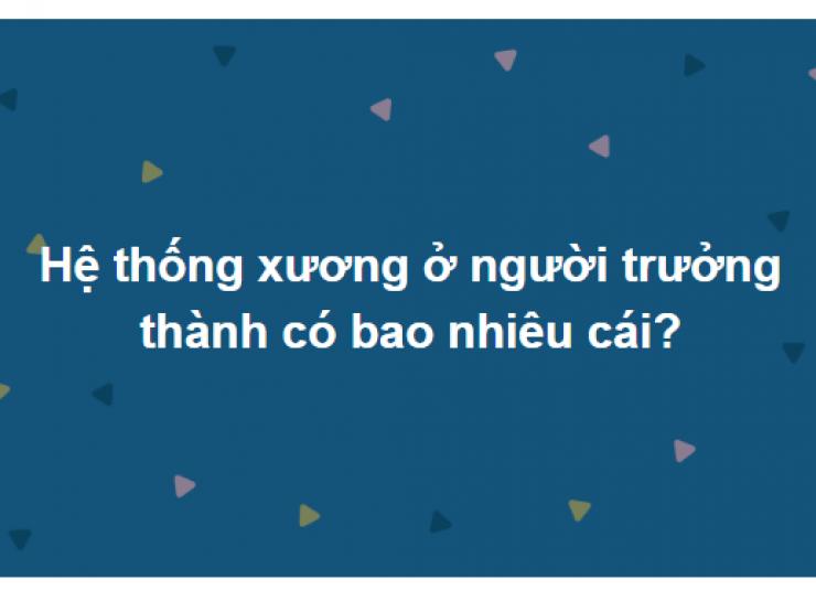 Giáo dục - du học - Cho các tế bào não tập gym cùng bộ câu hỏi hóc búa này