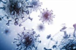 Sức khỏe đời sống - Tìm ra loại siêu kháng thể có thể vô hiệu hóa HIV