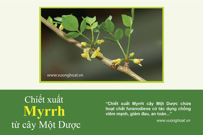 Đau nhức lưng, đau mỏi vai gáy có nên châm cứu, bấm huyệt? - 4