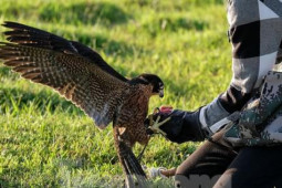 Bạn trẻ - Cuộc sống - Giới trẻ Hà thành thích thú với trò chơi huấn luyện 'trinh sát trên không'