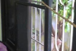 Phi thường - kỳ quặc - Video: Rợn người khoảnh khắc rắn gần 2m bò vào nhà "dạo chơi"