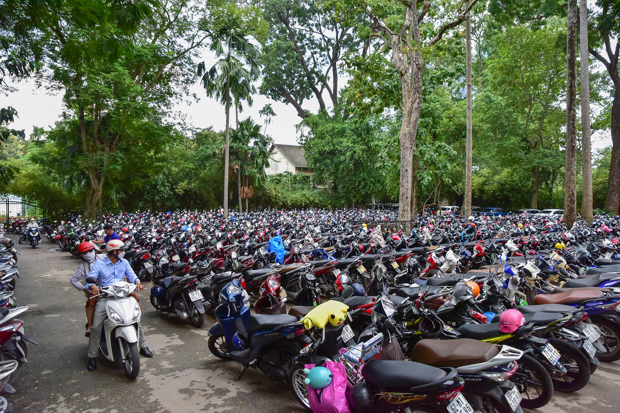 Thời điểm 9h sáng, khu vực giữ xe chính không còn chỗ, Thảo Cầm Viên mở thêm bãi giữ xe máy, ôtô nằm sâu bên trong sở thú để đáp ứng nhu cầu rất lớn của du khách. Đến gần trưa người dân vẫn nườm nượp mua vé vào cổng.