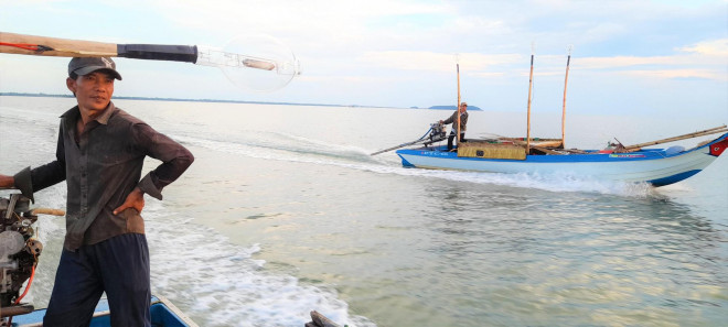 Một chuyến câu mực mé thành công cần phải có dàn đèn cao áp, công suất mỗi bóng đèn từ 500 đến hơn 1000W và nhiều màu khác nhau để dẫn dụ mực. Tuy nhiên, có 4 màu chủ đạo thường hay thấy trong các dàn đèn dẫn dụ mực gồm đèn trắng, đèn xanh lá, đèn tím và đèn màu đỏ.