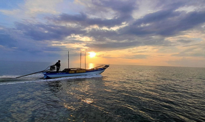 Các phương tiện sẽ ra các khu vực mé biển (cách đất liền vài hải lý) để chọn vị trí thích hợp để chuẩn bị câu mực. Chọn vị trí là yếu tố quyết định cho một đêm câu bội thu.