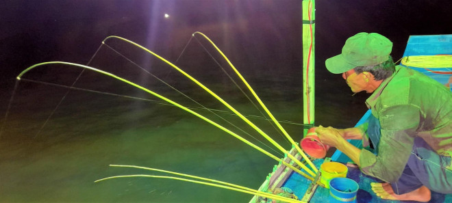 Mồi câu mực được nối vào với dây câu có độ dài khoảng 20 đến 30m nước, gắn vào cần câu, người câu mực gọi cần câu là “bạc”. Người mới biết câu thường câu “bạc” đơn, người câu chuyên nghiệp thường câu “bạc ba, bạc bốn” có nghĩa là 1 cần câu trong một lúc có thể điều khiển được 3 đến 4 lưỡi câu. Mực ăn câu, người câu sẽ kéo lên nhanh, không để dây câu chùng thì mực sẽ bị rớt lại biển.