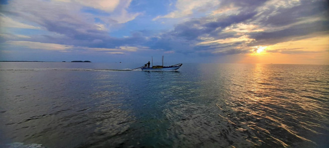 Khi mặt trời ló dạng thì cũng chính là lúc các ghe câu tắt đèn, liên hệ với nhau để biết được là bạn câu trúng hay thất (được nhiều hay ít mực), mọi người cùng thu cần và vào bờ cùng nhau để bán chiến lợi phẩm từ biển khơi.