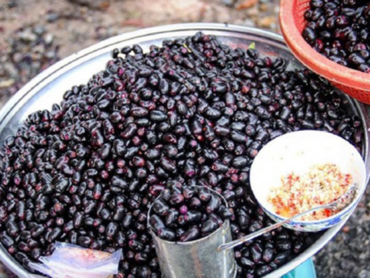 Loại quả đen sì mọc dại ở miền Tây, trước rụng đầy gốc bỗng thành đặc sản giá 200.000/kg