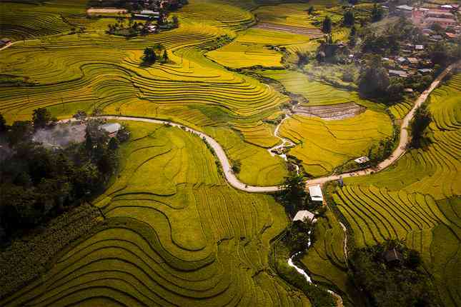 Ảnh: Nguyễn Duy Hoàng.